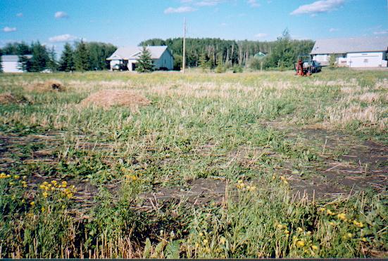 Farm Field